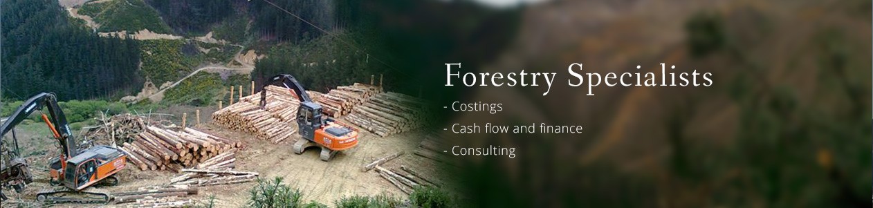 Forestry specialist. Blackburne Group.